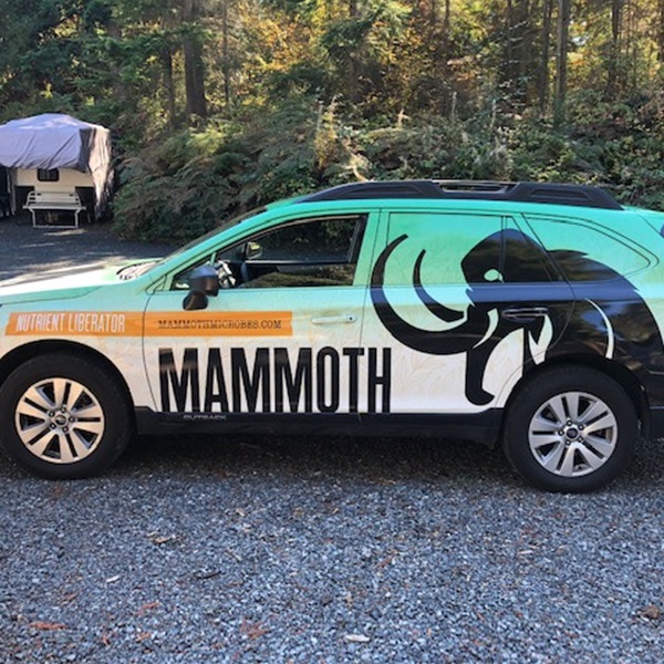 mammoth