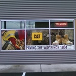 cat-vinyl-windows-graphics