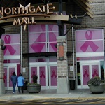 north-gate-mall-window-wrap-1