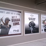 pro-golf-bellingham-window-wrap-5