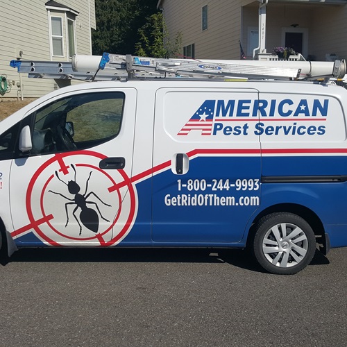 american-pest-services